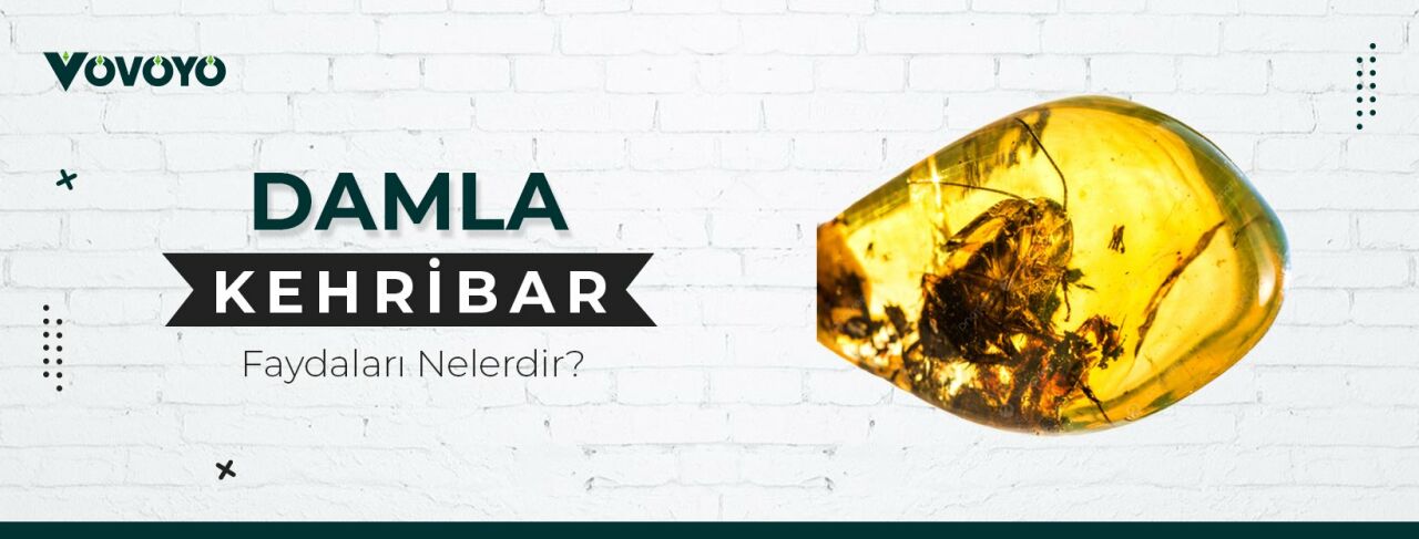Damla Kehribar Faydaları
