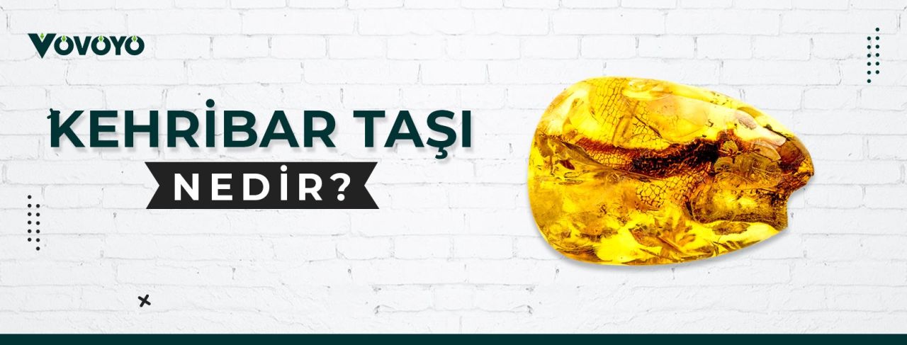 Kehribar Taşı Nedir?